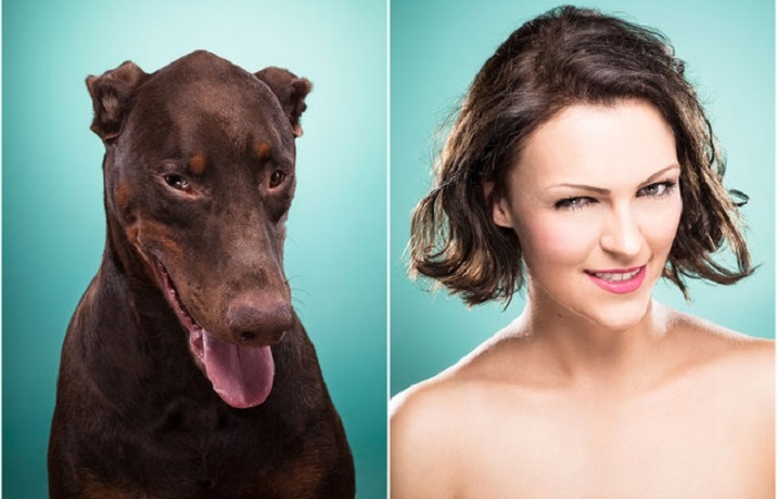 Веселые портреты собак и их хозяев.