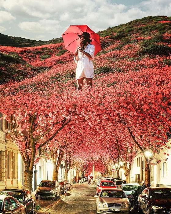 Весна, которая радует яркими красками, является любимым временем года Саида Афхамзаде.