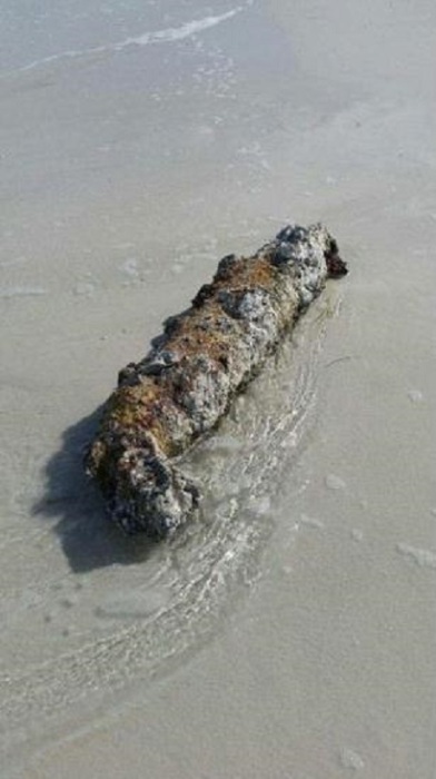 Покрытая моллюсками бомба времен Второй мировой войны найдена около Тампа-Бэй, штат Флорида.
