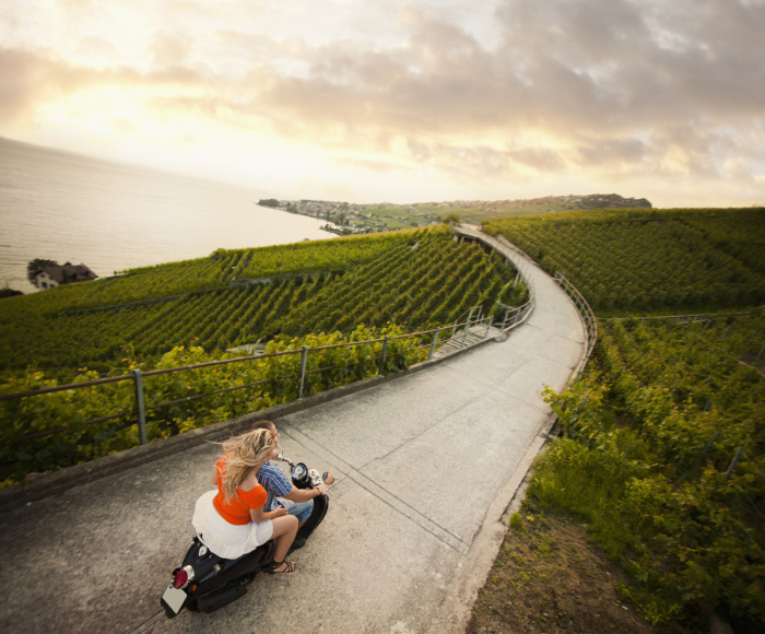 Пара на скутере проезжает вдоль побережья с виноградниками.