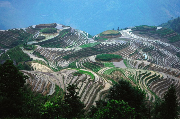 Вид рисовых террас изменяется в зависимости от времени года. Весной, когда вода орошает рисовые поля, террасы выглядят как большие блестящие ленты, обвивающие склоны гор и холмов.