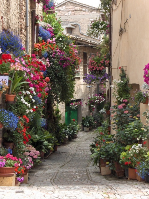 Сказочно-прекрасные цветущие улицы романтического города Спелло (Италия).