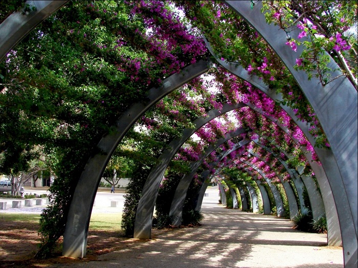 Увитая бугенвиллиями искусственная «Большая беседка» в парке Саут Бэнк в Брисбене (Австралия).
