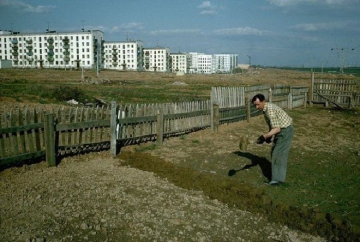 Уход за огородом. СССР, Москва, 1964 год.
