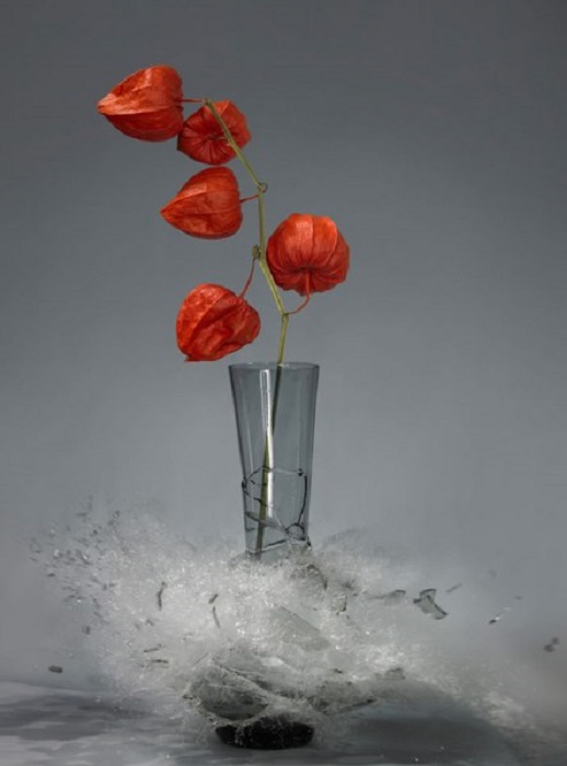«Недолговечная» цветочная ваза.