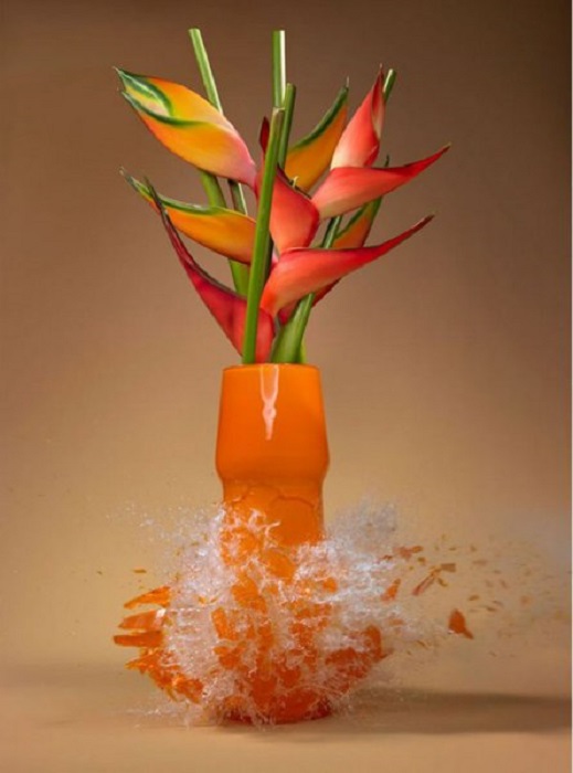 Потрясающий снимок с разлетающимися вдребезги живописными вазами с цветами.