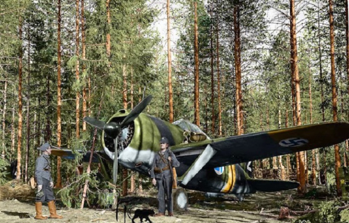 Финский Брюстер Буффало 239 истребитель на аэродроме. 24 июня 1941 года.