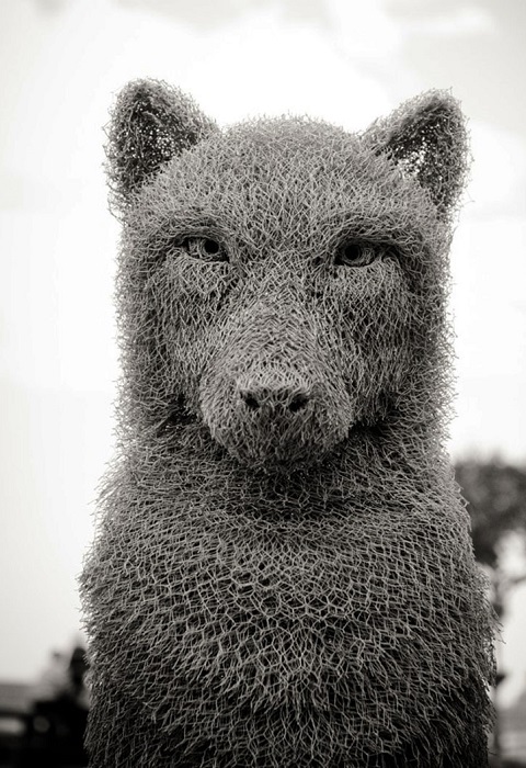 Волк из проволочной сетки, автор Ivan Lovatt.
