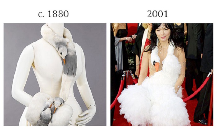 Эпатажная Бьорк в 2011 году появилась на красной ковровой дорожке в платье-лебеде, которое должно было символизировать плодородие.