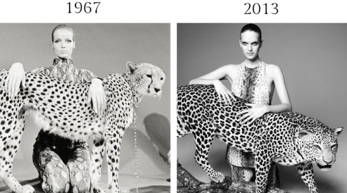 Верушка с гепардом на цепи, демонстрирующая тенденции нового сезона - шкуры животных и цепи, а латиноамериканский Vogue в 2013 году украшал снимок Наги Сакаи, где гепарда заменили на леопарда.