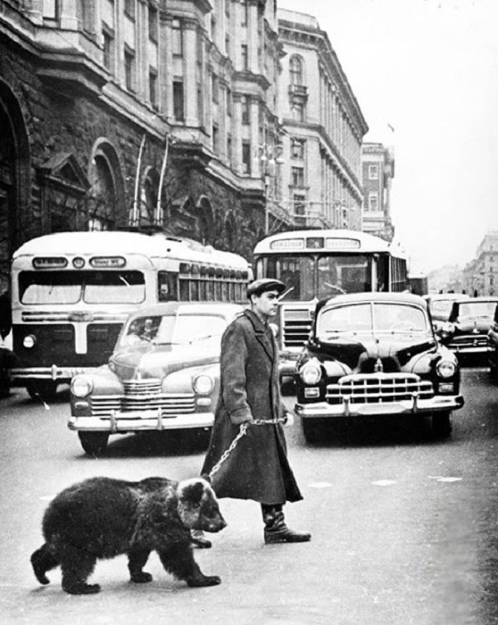 Мужчина с медвежонком по улицам города.