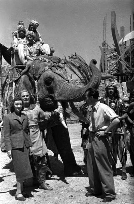 Фильм-сказка Александра Птушко стал лидером проката в 1953 году, а американским зрителям стал известен как «Волшебное путешествие Синдбада».