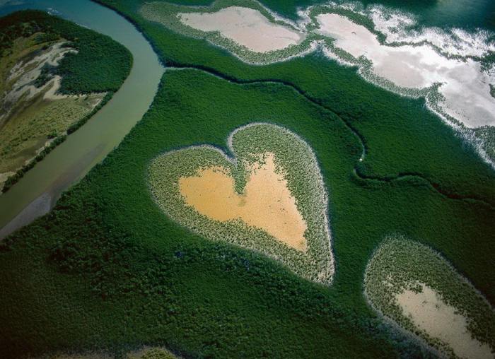 Вид сверху на главную достопримечательность Новой Каледонии - «сердце Во» - мангровая роща, похожая на сердце.