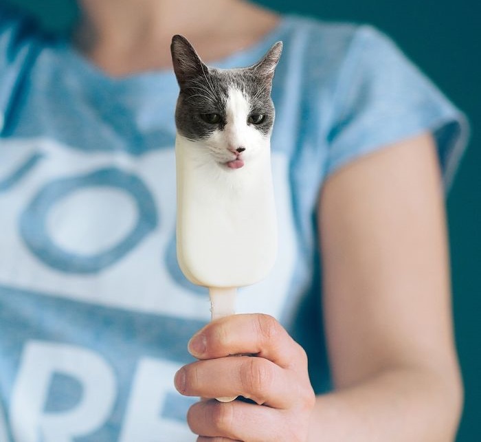Котенок как-будто пытается попробовать мороженое.