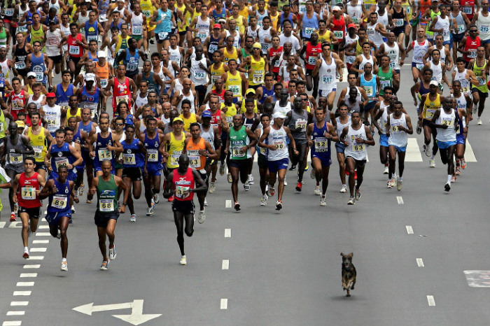 В марафоне участвовало огромное количество спортсменов и не только… Автор фотографии: Mauricio Lima.