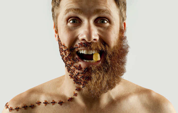 Красные муравьи органично сочетаются с бородой.