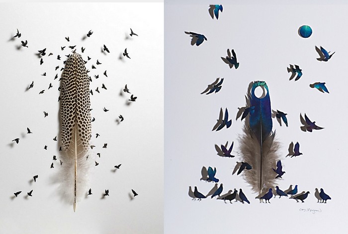 Стая птиц и груда перьев.  Арт-проект Криса Мейнарда (Chris Maynard)