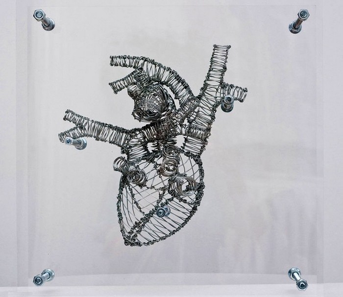 Человеческие органы из проволоки. Скульптуры Federico Carbajal