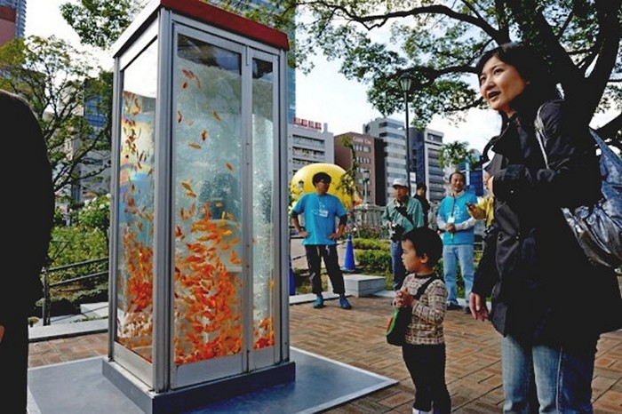 Золотые рыбки в телефонных будках. Арт-проект от Kingyobu 