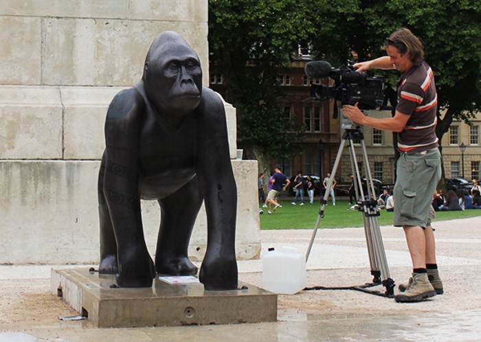 Термочувствительная скульптура гориллы в экологическом арт-проекте Wow! Gorillas