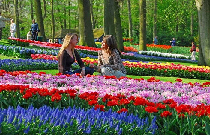 Парк Keukenhof в Нидерландах - рай для любителей цветов