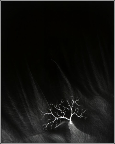 Lightning Fields. Фото самодельных молний от Hiroshi Sugimoto