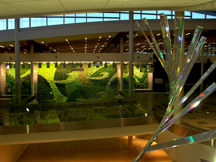 Living Green Wall: зеленая стена в аэропорту Эдмонтона