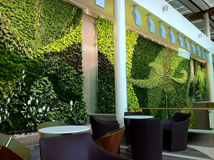 Living Green Wall: зеленая стена в аэропорту Эдмонтона