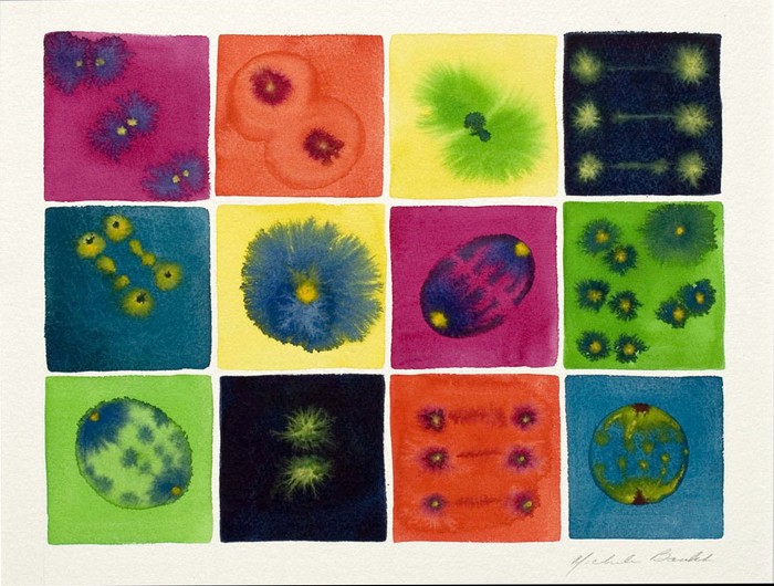 Микроорганизмы акварелью, нарисованные Michele Banks