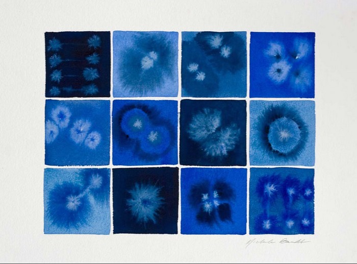 Процесс деления клетки в голубом