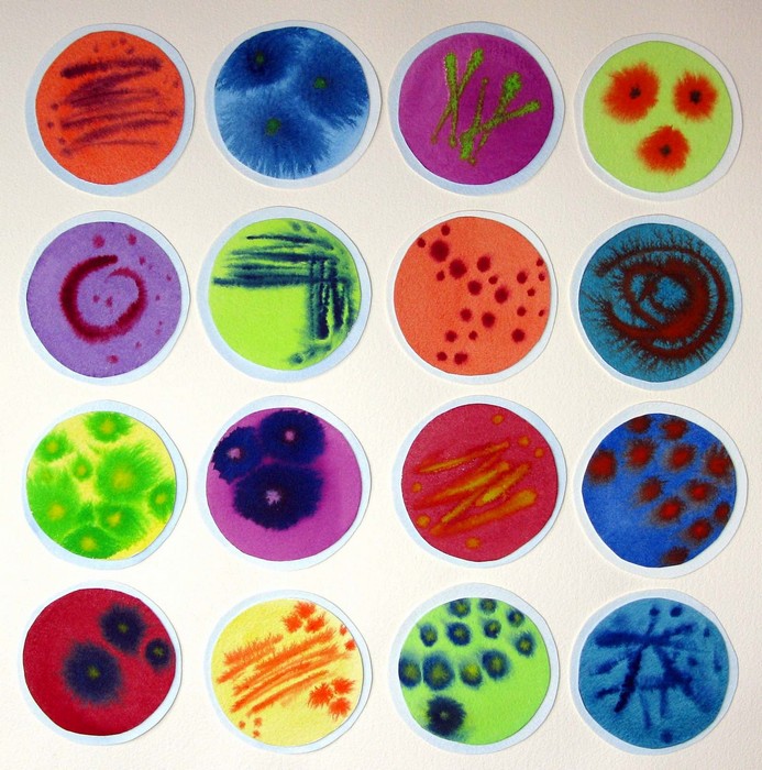 Культивирование микроорганизмов в чашках Петри
