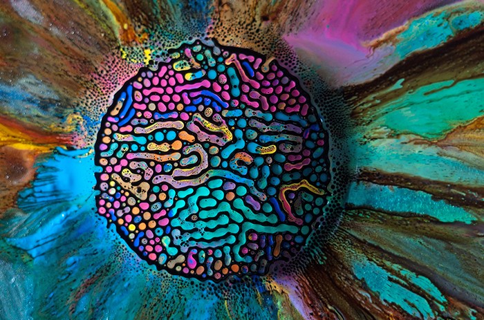 Цветные лабиринты из акварельной краски и магнитной жидкости. Арт-проект Millefiori от Фабиана Оэфнера