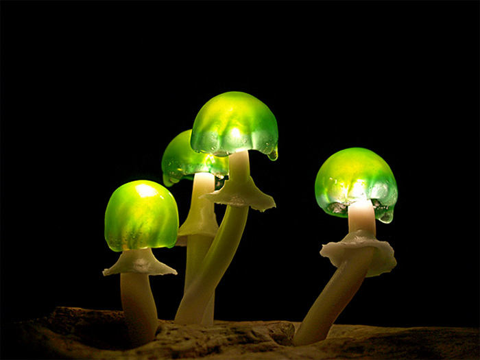 Чудо-грибочки. Светильник-инсталляция Mushroom Lights