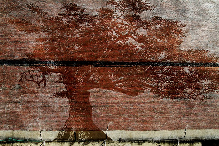 The Charter Oak. Секретная фреска Адама Никлевича, которую видно только под дождем