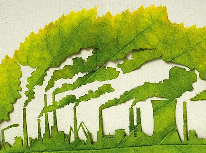 Plant for the Planet, экологический арт-проект в защиту окружающей среды