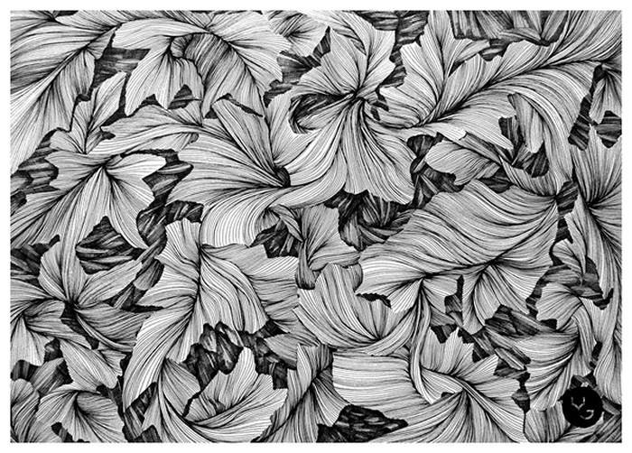 Черно-белые иллюстрации Василия Годжа (Vasilj Godzh) нарисованные линиями и черточками