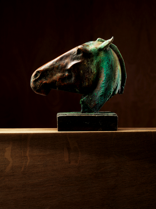 Гигантские лошадиные головы из бронзы. Самые известные скульптуры  Ника Фиддиана-Грина