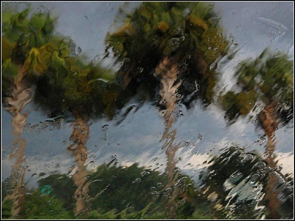 Thunderstorm, Florida