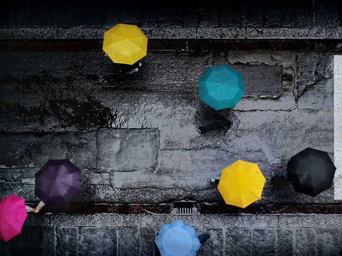 Umbrellas, Florence