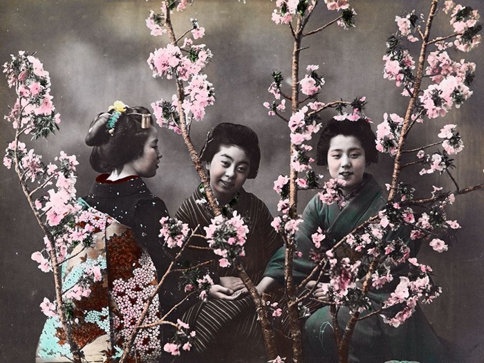 Women With Cherry Blossoms, Japan