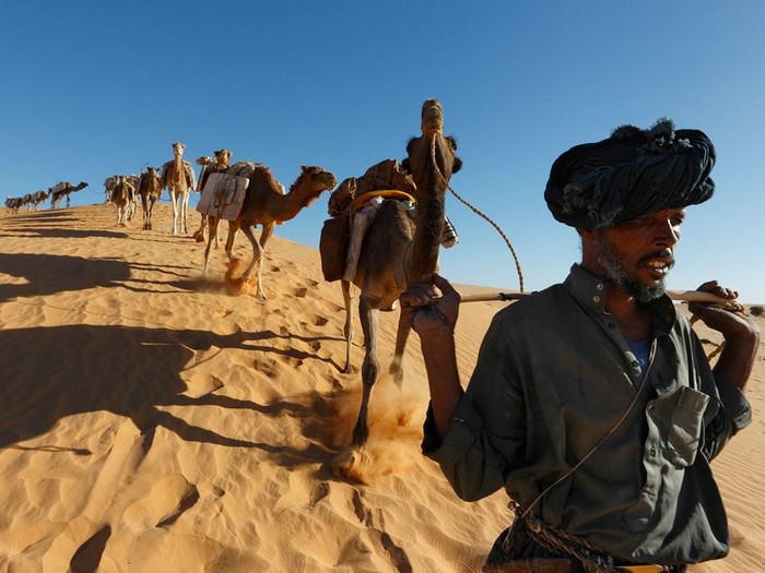 Caravanner and Camels, Mali