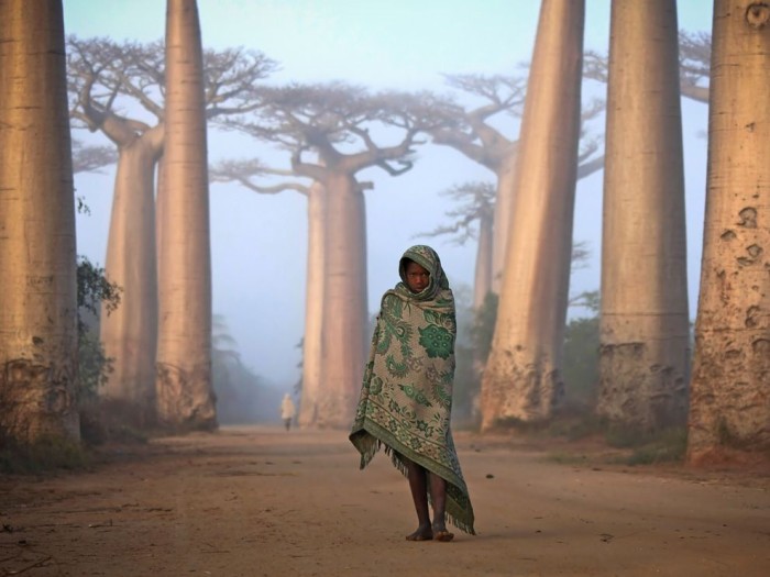 Girl and Baobabs, Madagascar