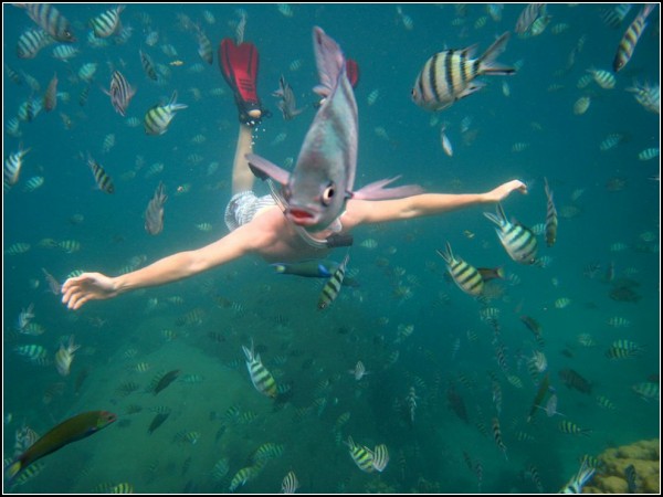 Snorkeler, Thailand