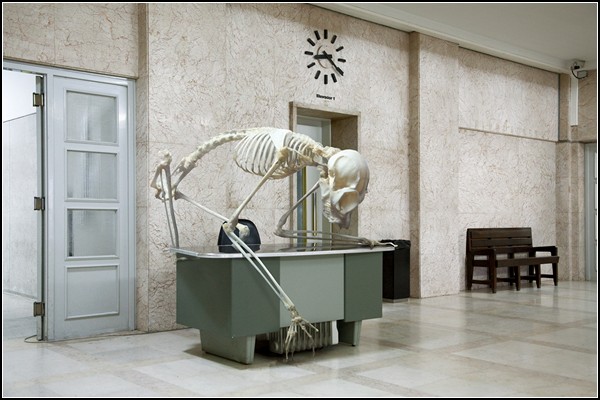 Живые скелеты. Фотоманипуляции из серии Vertebrata