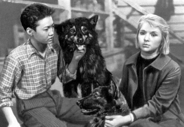 Кадр из фильма *Дикая собака Динго*, 1962 | Фото: liveinternet.ru