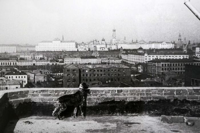 Вид с крыши Дома писателей, 1956 | Фото: weekend.rambler.ru