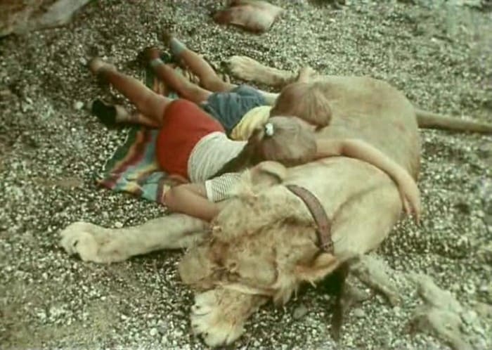 Кадр из фильма *У меня есть лев*, 1975 | Фото: kino-teatr.ru