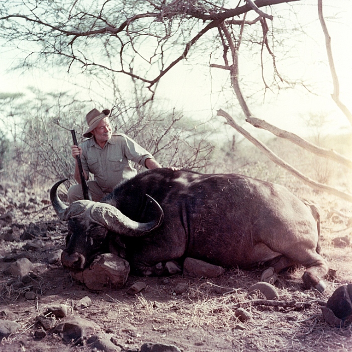 Хемингуэй на охоте в Африке, 1953-1954