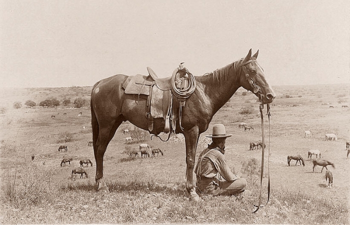 Ковбой за работой, 1910