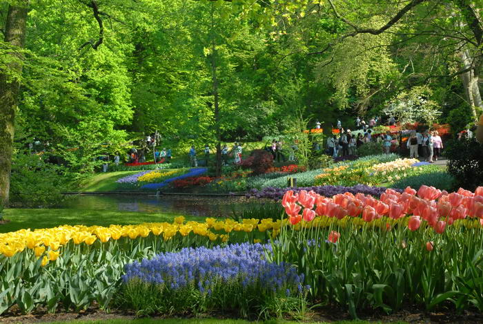 Сад Европы - второе название королевского парка. Море великолепных весенних цветов: тюльпанов, нарциссов, гиацинтов дополняют каналы, водопады и фонтаны.